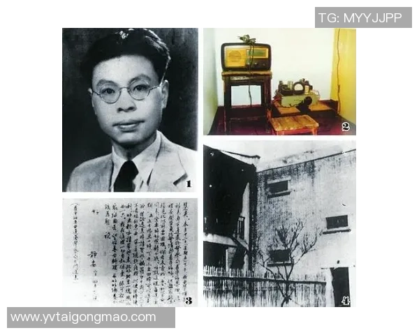 重庆乒乓球队的蜕变与重生探索新征程的奋斗故事